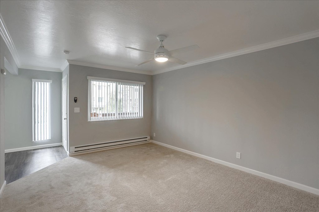 A room with a carpeted floor and a ceiling fan.