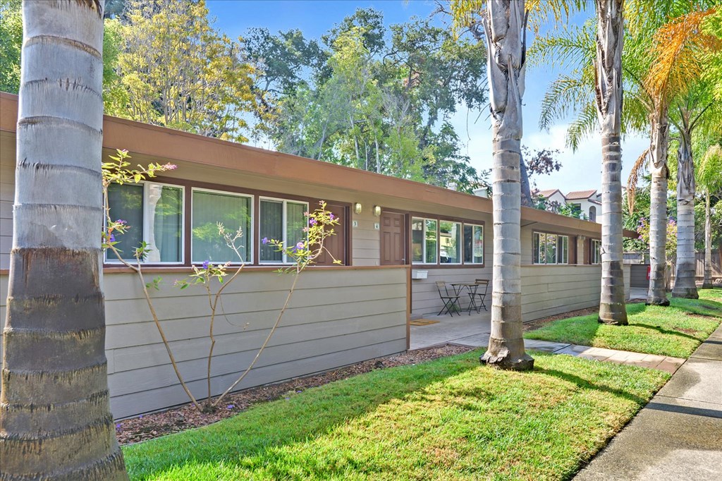 the exterior of a house with a sidewalk and palm trees