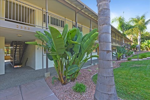 A large green plant in front of a building with the number 233 on it.