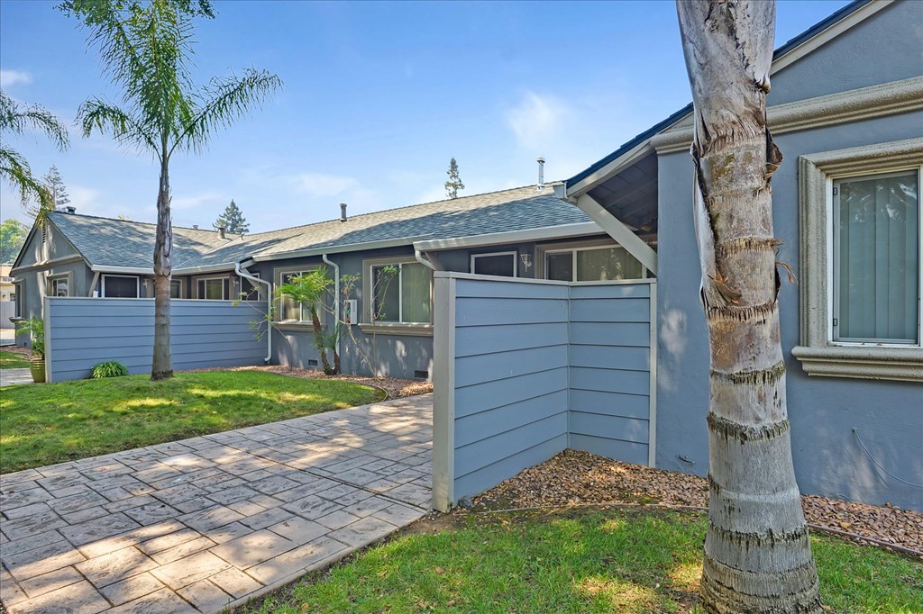 a blue house with a walkway and a tree