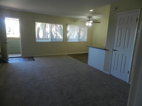 A room with a carpeted floor and a ceiling fan.