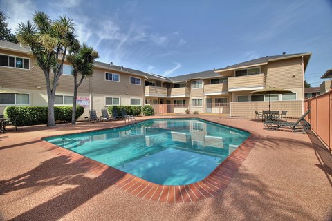 our apartments have a swimming pool and a patio with palm trees