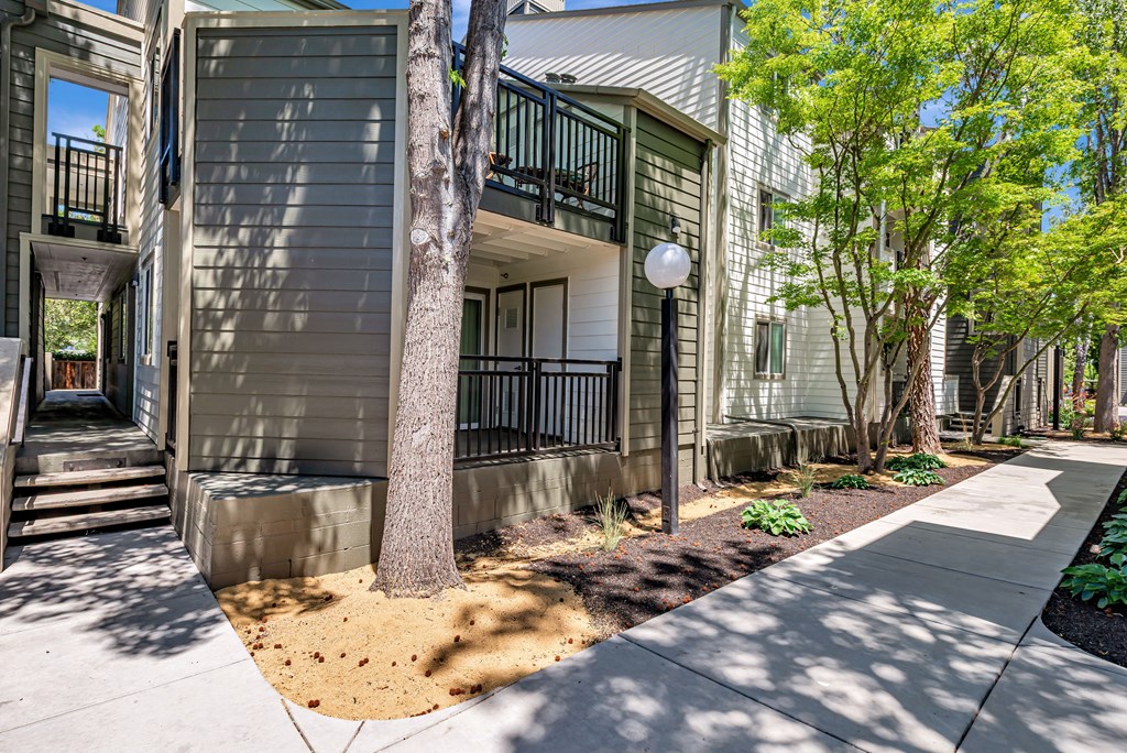 A tree in front of a building with a balcony.