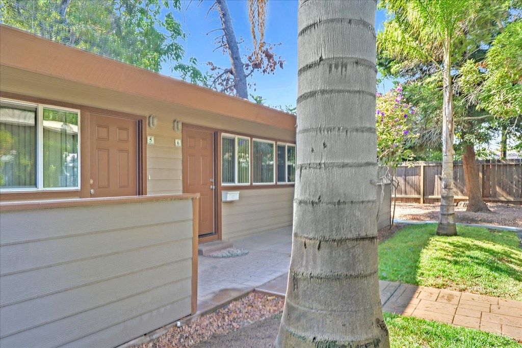 a house with a large palm tree in front of it