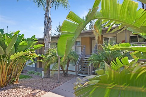 A building surrounded by green plants.