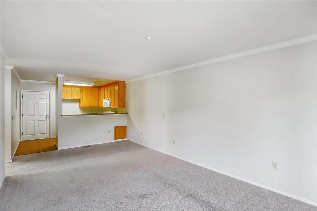 A room with a white wall and a carpeted floor.