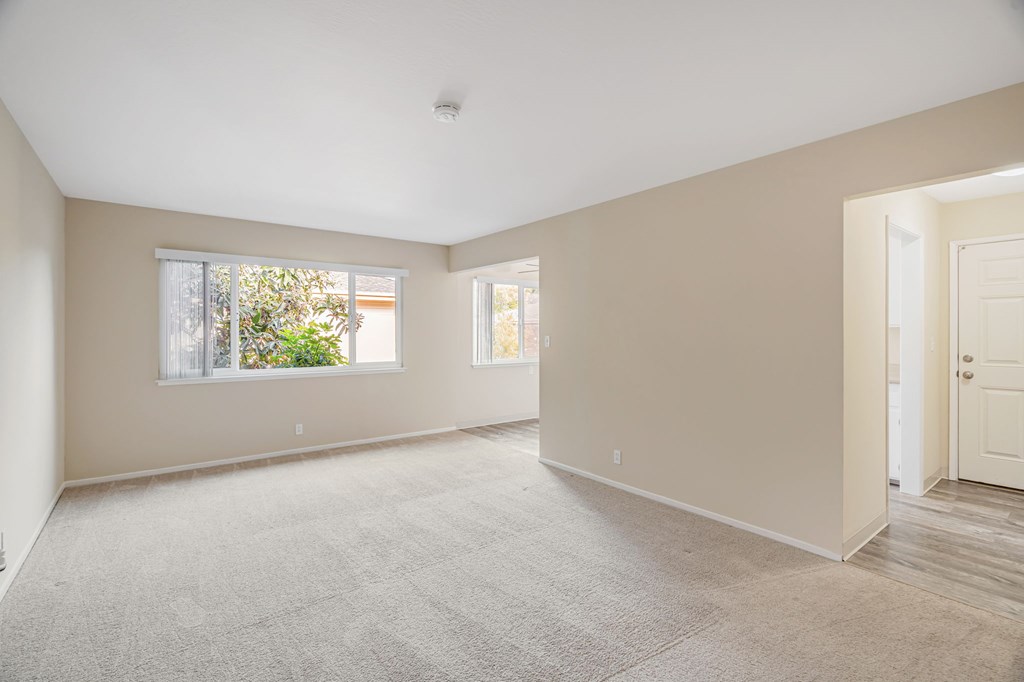 A spacious room with a carpeted floor and two windows.