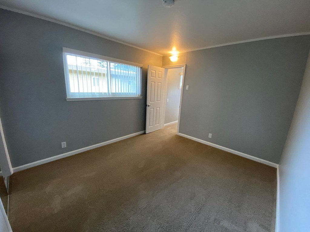 A room with a carpeted floor and a door leading to another room.