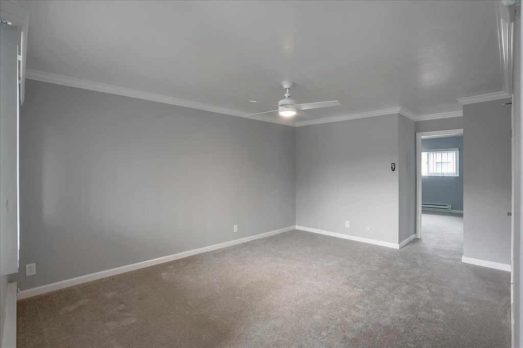 A room with a carpeted floor and a ceiling fan.