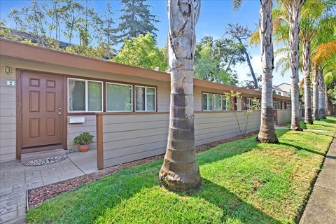 the front of a house with a yard and palm trees