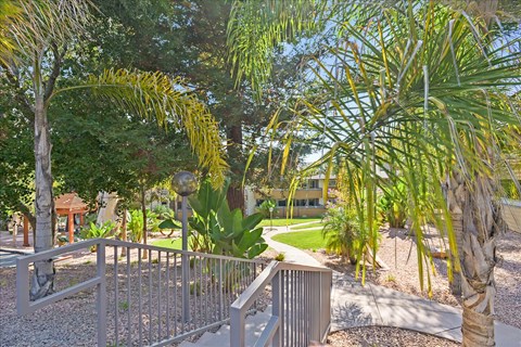 A metal fence in front of a palm tree.
