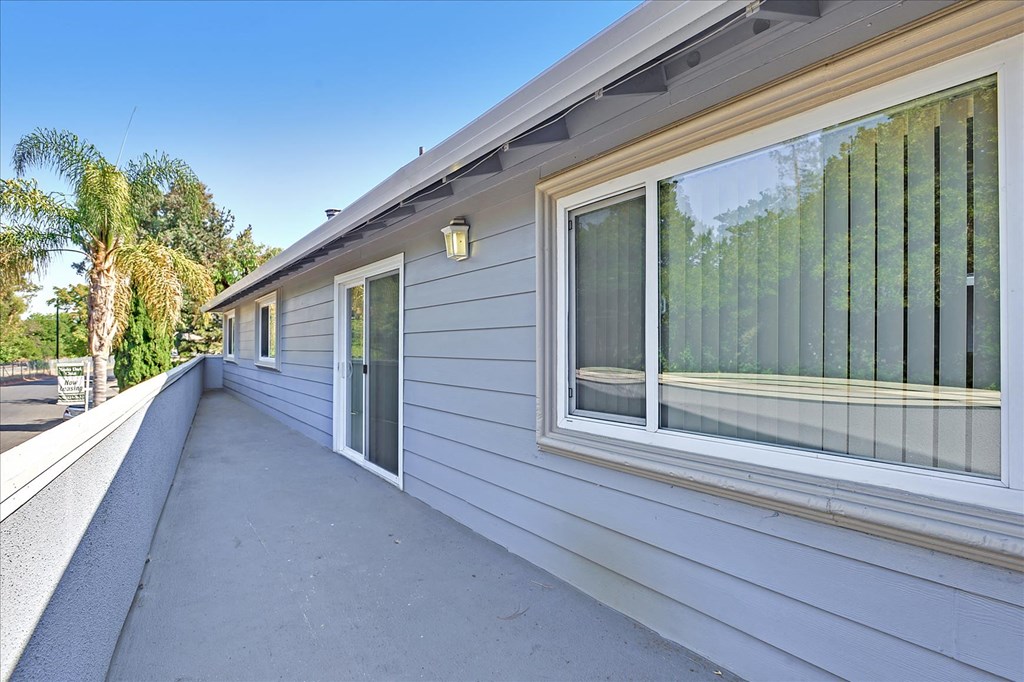 A sunny day at the beach with a house and a tree.