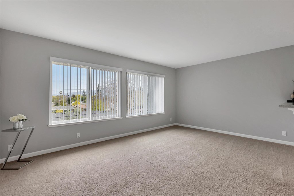 Large living room with large windows