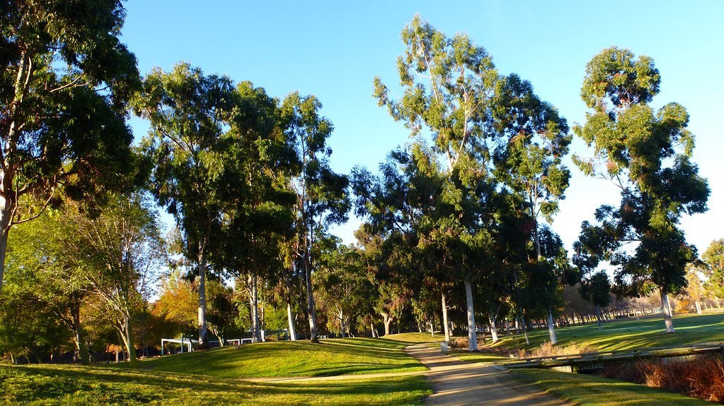 A park with a pathway and trees.