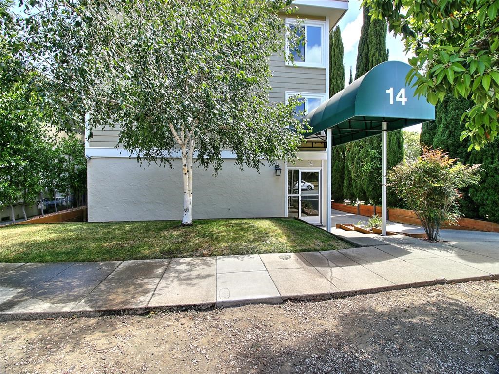 the front of a house with a sidewalk and a tree