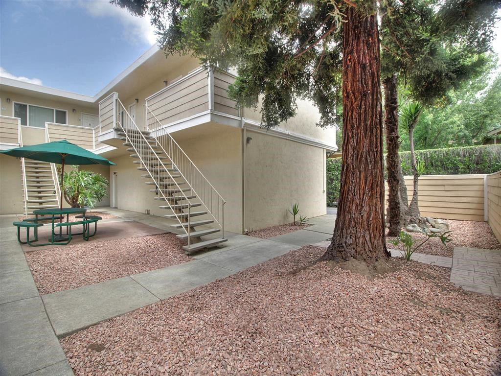 A tree is in front of a tan building.