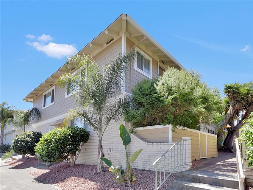 a house with a fence and a palm tree in front of it