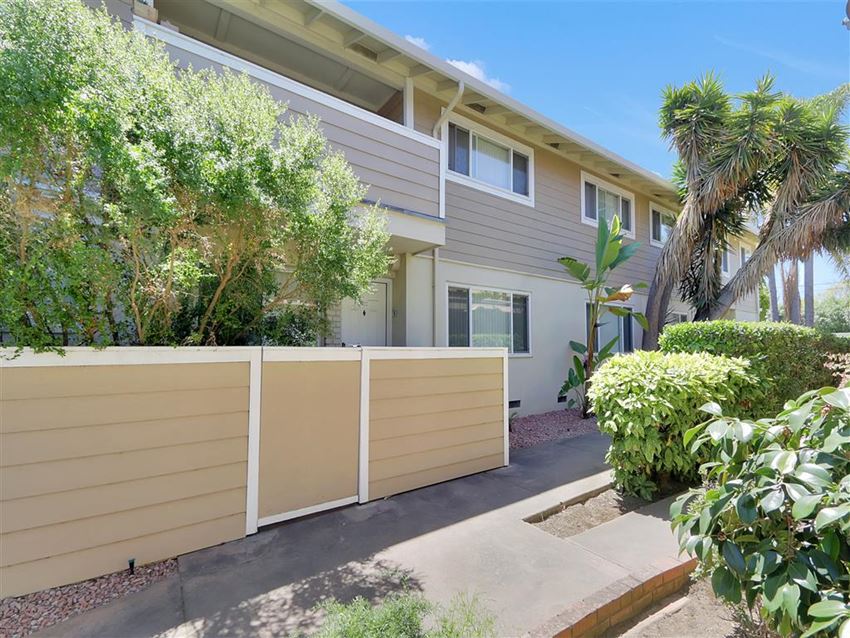 a house with a fence and a palm tree in front of it