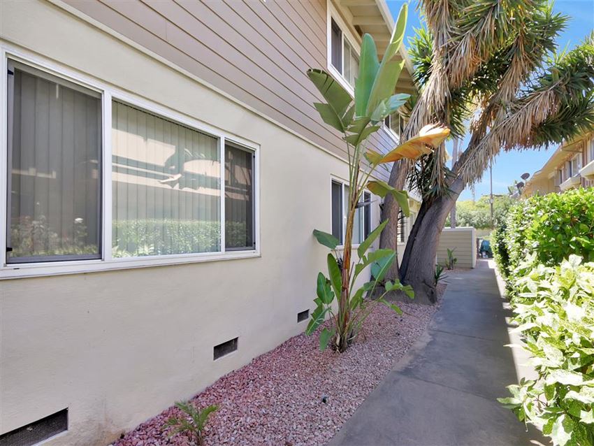 a sidewalk in front of a building with a palm tree