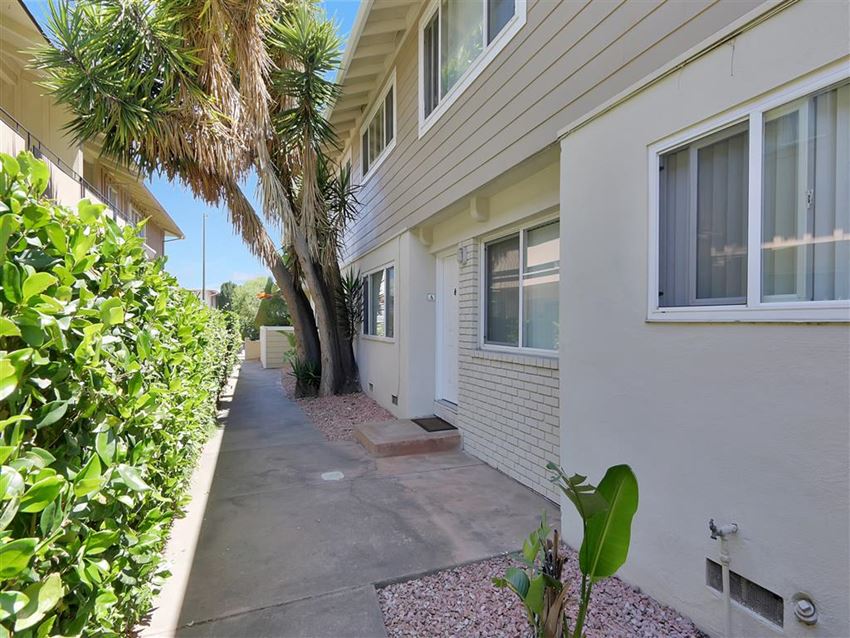 a side view of a building with a sidewalk and palm trees