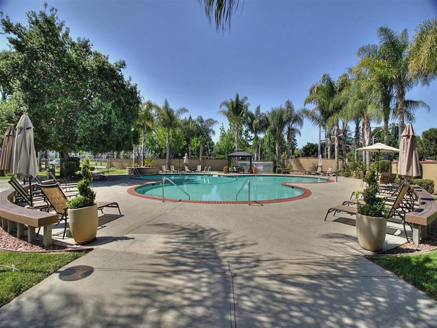 sparkling swimming pool sparkling swimming pool at The Arbors at Mountain View, Mountain View, 94040