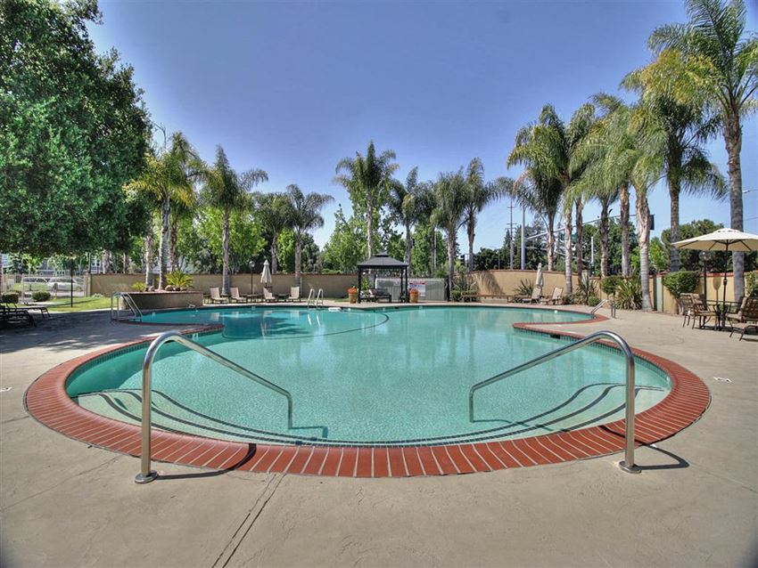 a large swimming pool with palm trees in the background