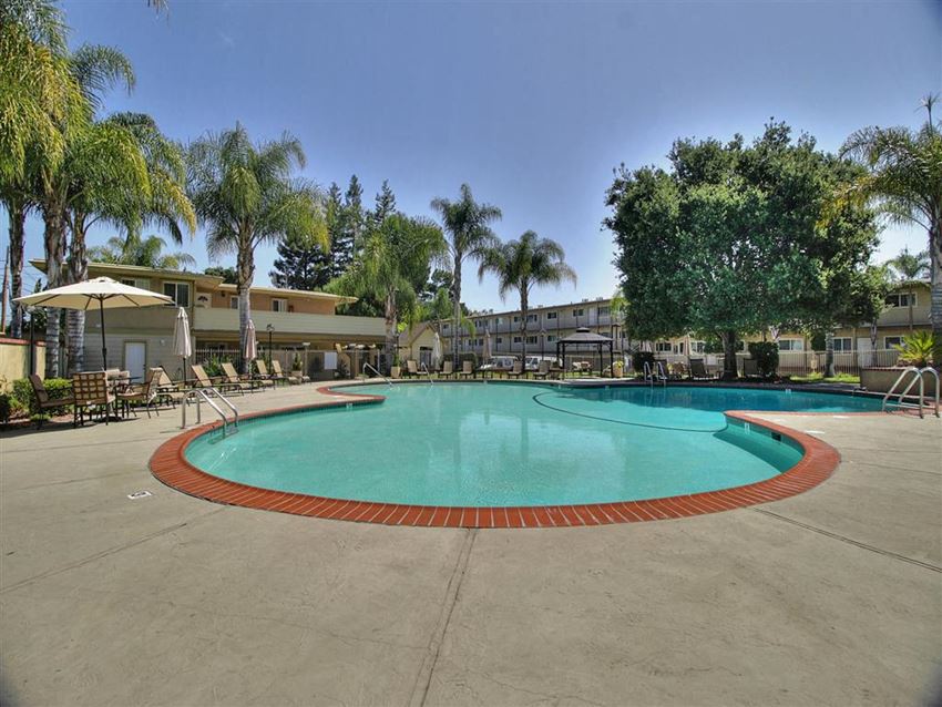 blue swimming pool with lounge chairs at The Arbors blue swimming pool with lounge chairs at The Arbors at Mountain View, Mountain View, California