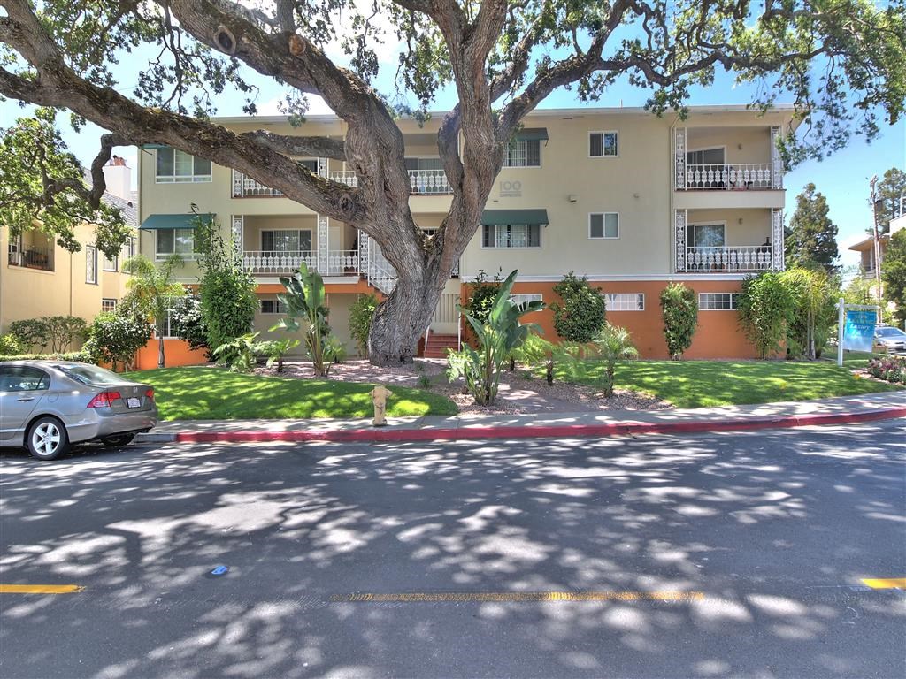 an image of an apartment building with a tree in front of it