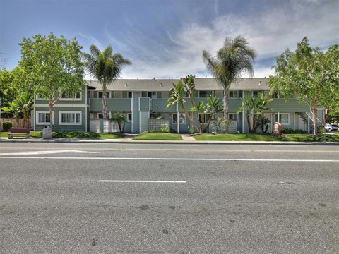 a building with palm trees in front of it on a street