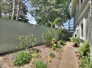 516 N Mathilda Avenue 1 Bed Apartment for Rent - Photo Gallery 2