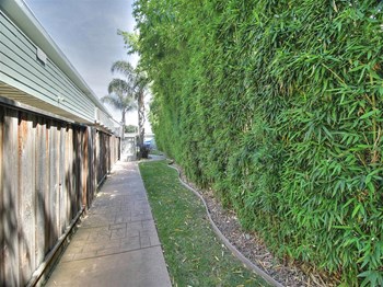 516 N Mathilda Avenue 1 Bed Apartment for Rent - Photo Gallery 3
