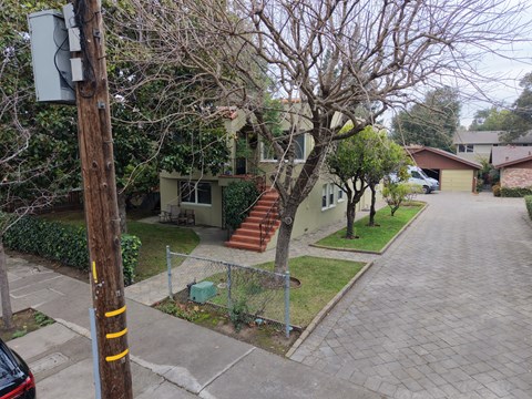A residential street with a house and a tree in the foreground.