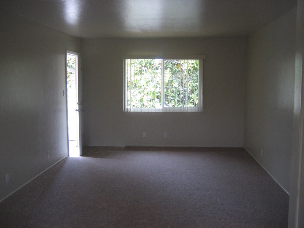 A room with a carpeted floor and a window letting in light.
