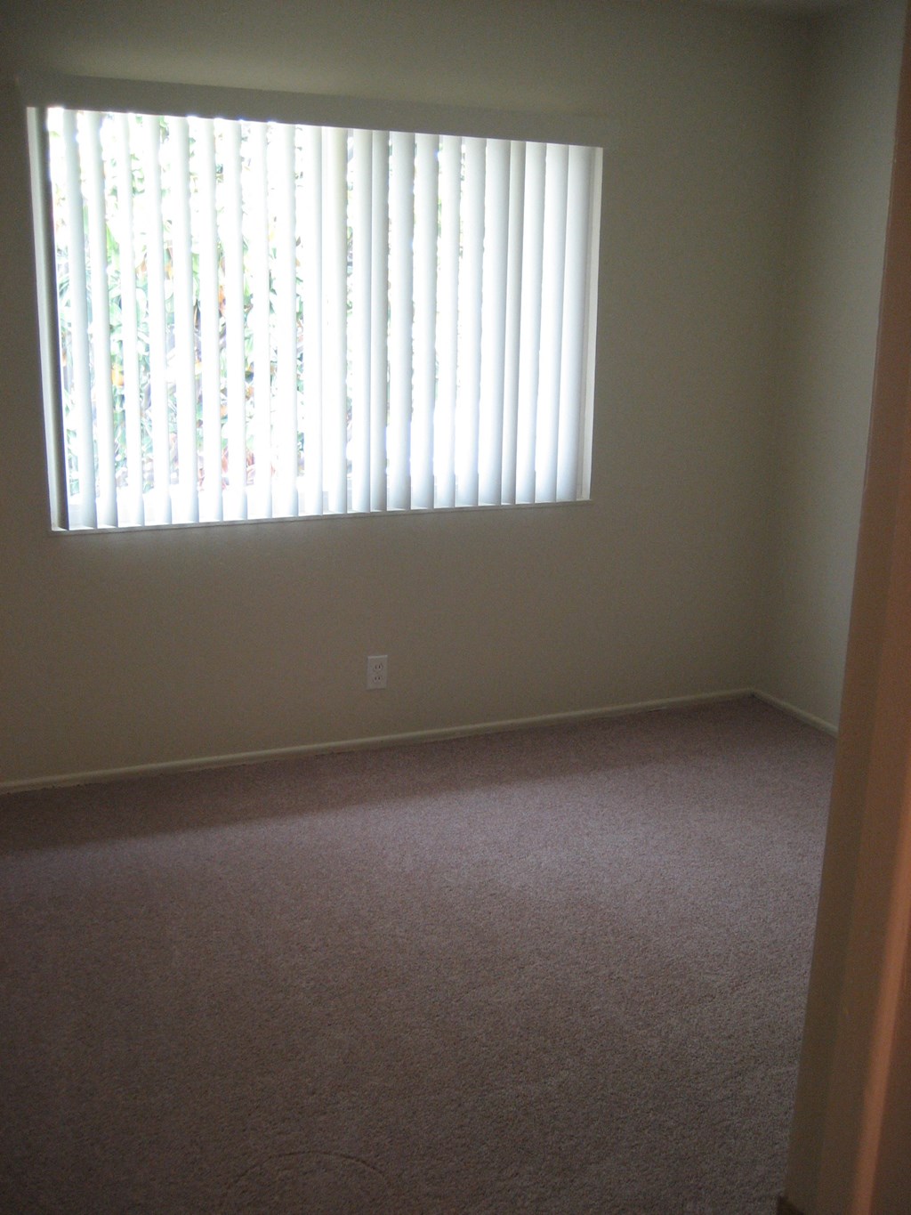 A room with a carpet floor and a window with blinds.