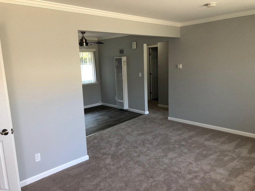 a living room with a carpet and a door to a closet