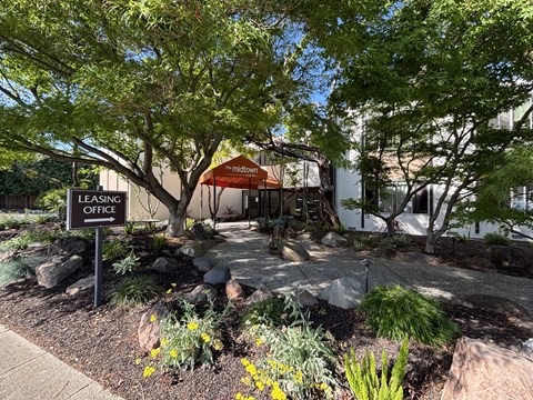 A leasing office is surrounded by trees and plants.