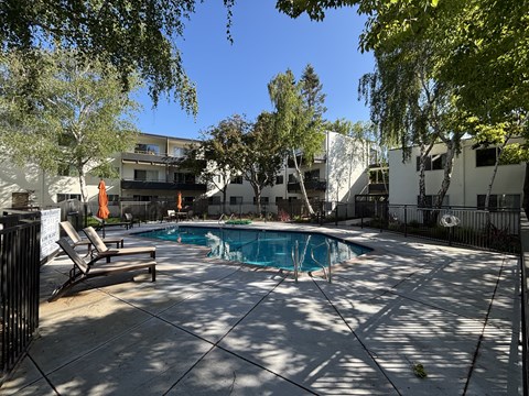 A pool surrounded by trees and chairs.