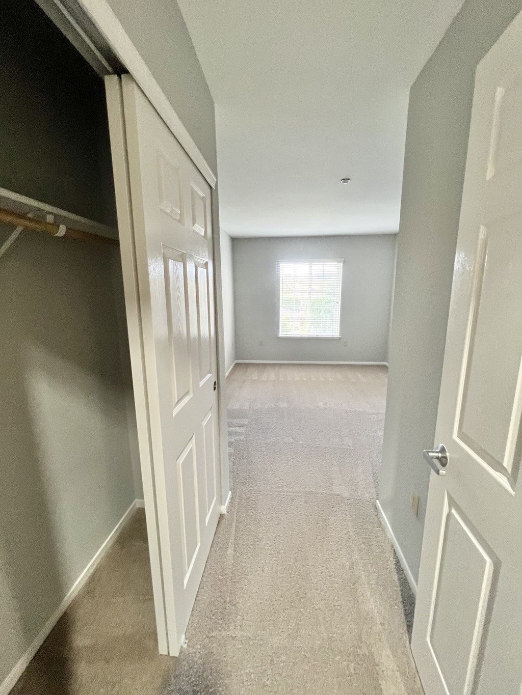 A hallway with white doors and a window.