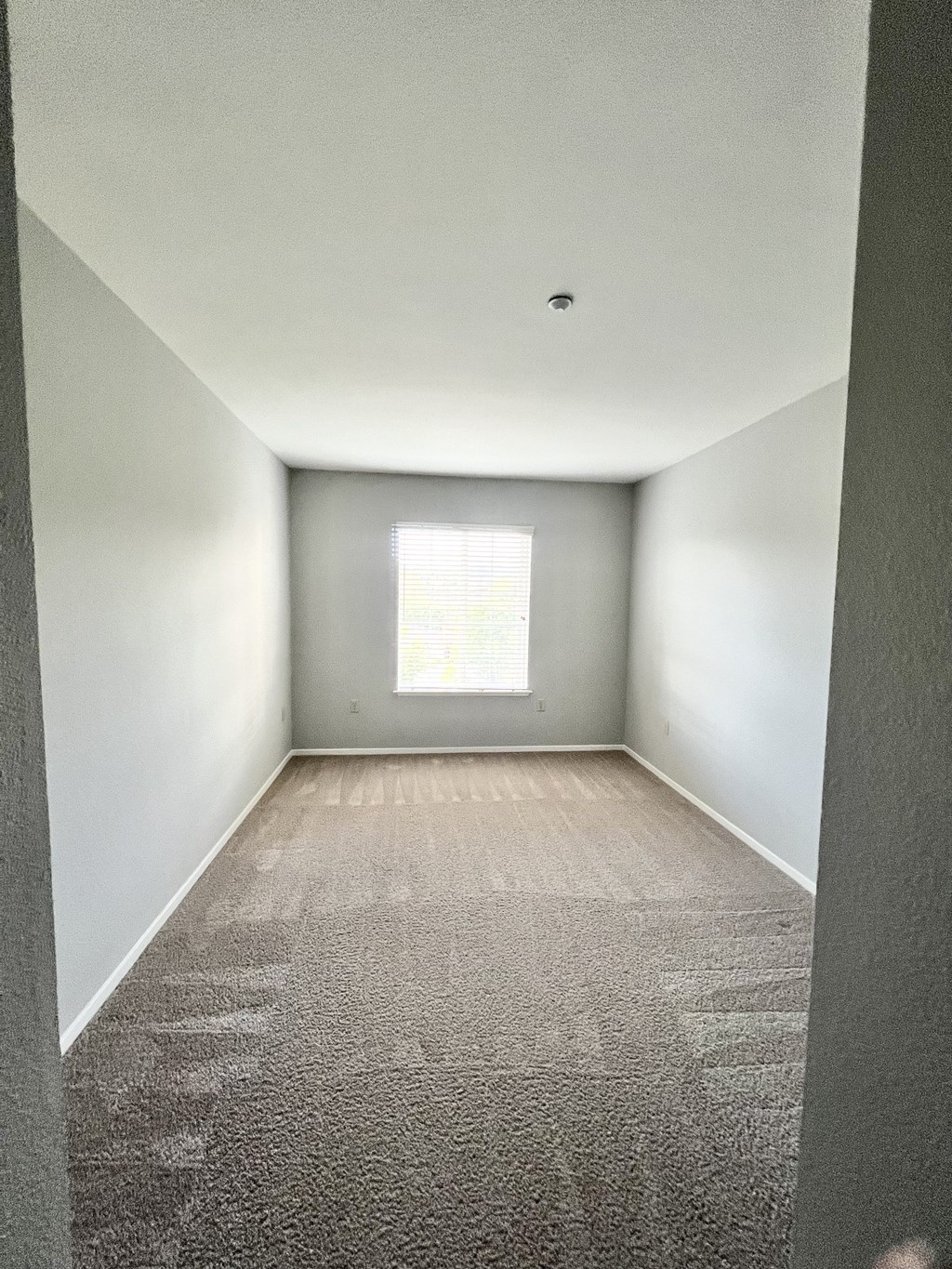 A room with a carpeted floor and a window.