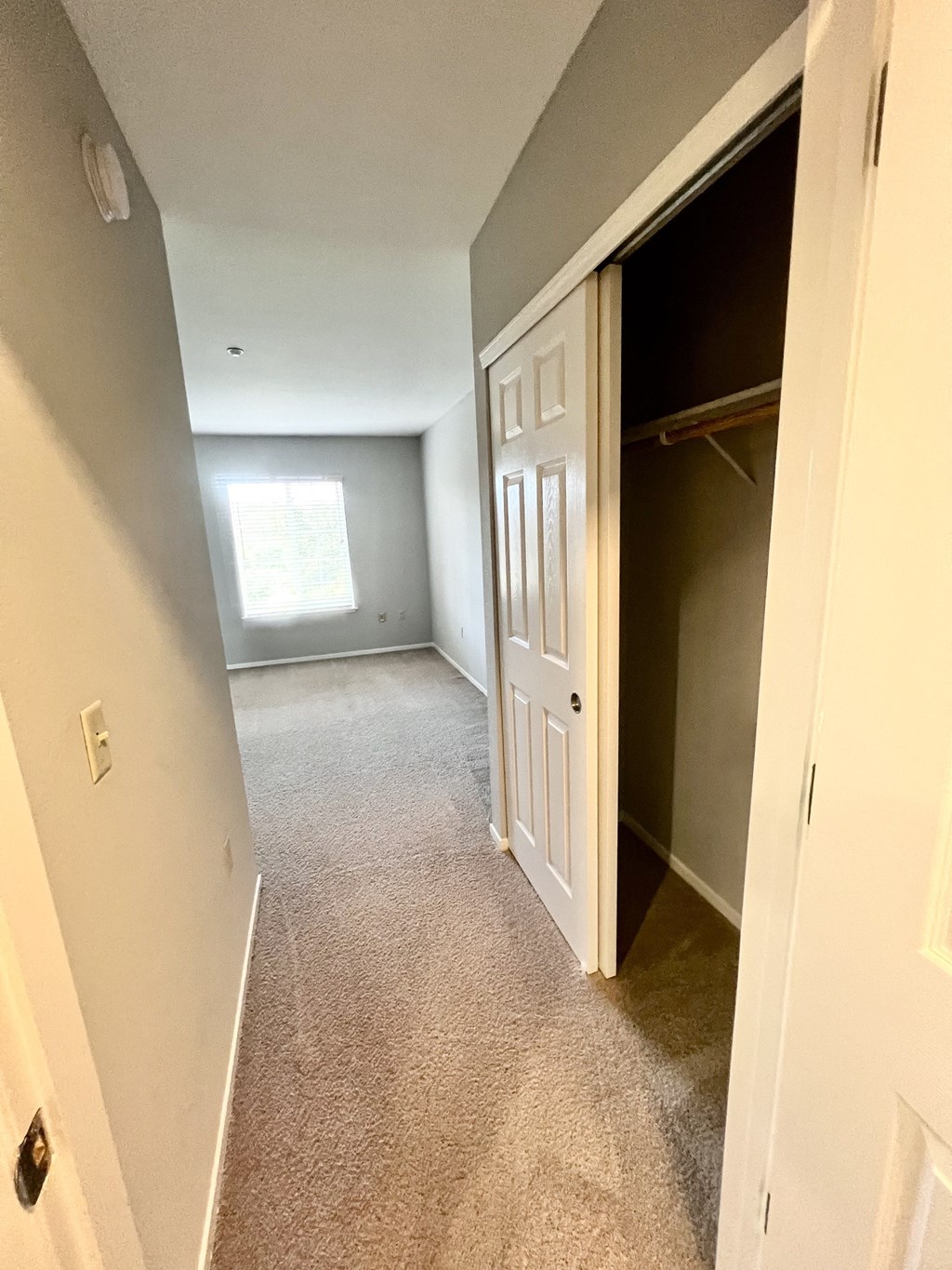 A hallway with a white door and carpeted floor.