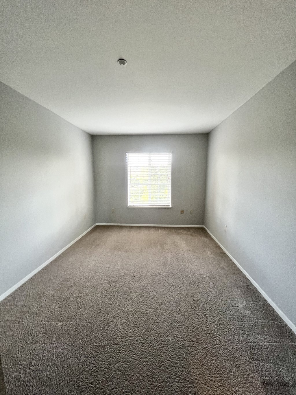 A room with a carpeted floor and a window with blinds.