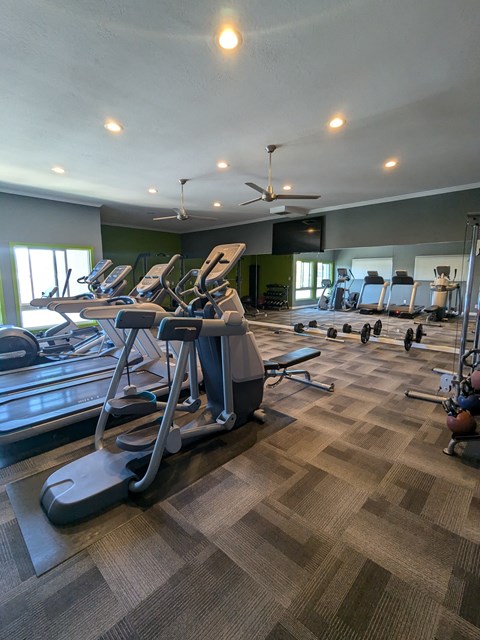 A gym with treadmills, elliptical machines, and weights.