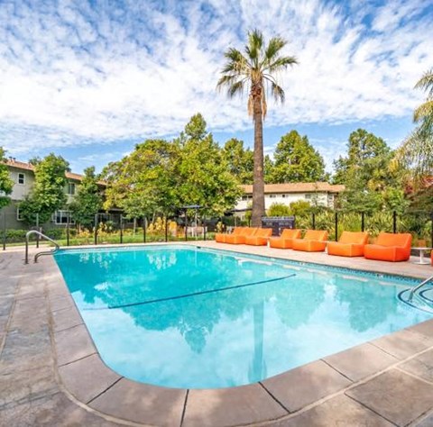 a swimming pool with orange chairs and a palm tree