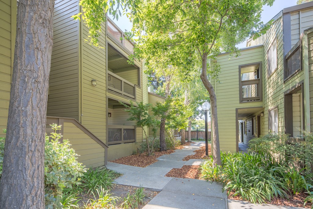 a walkway between two apartment buildings with trees and plants