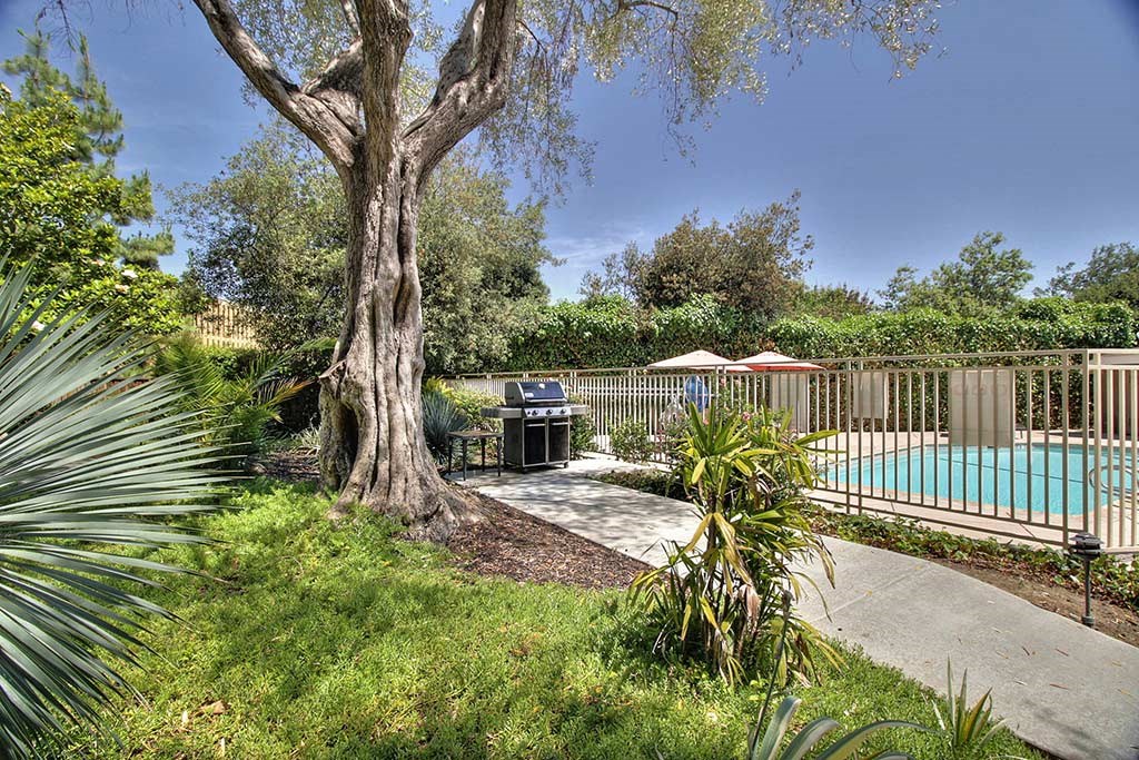 Outdoor plants and trees wit hedges beside pool at The Luxe, Santa Clara, CA, 95051