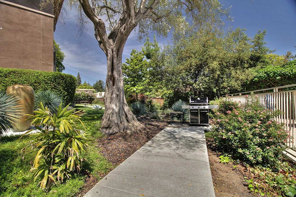 Outdoor plants and trees at The Luxe, California