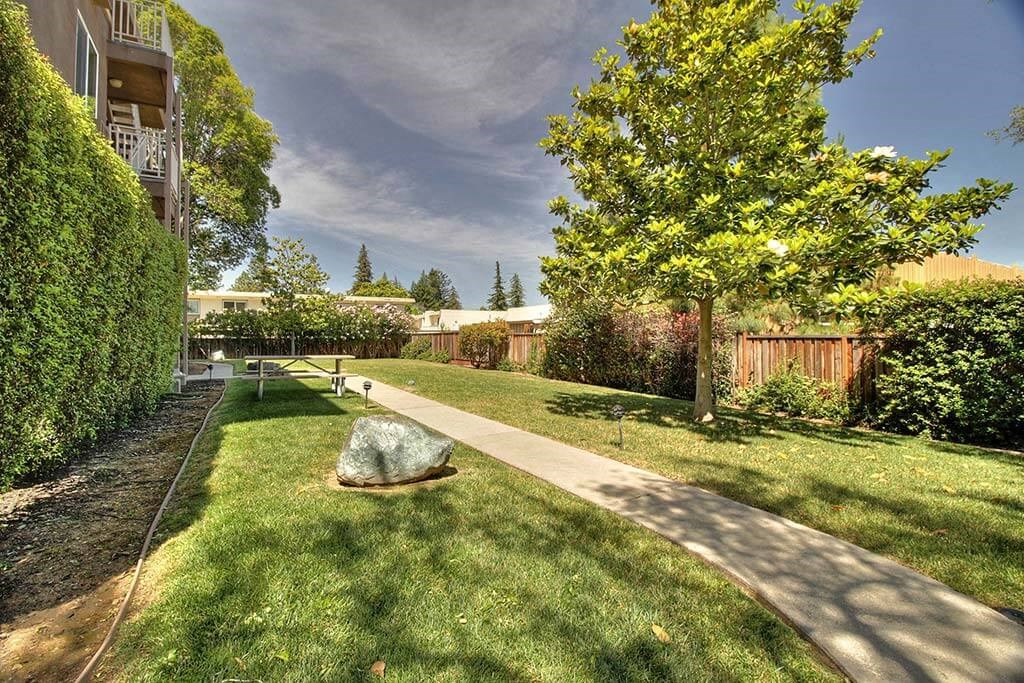 Skyline and greenery at The Luxe, Santa Clara, California