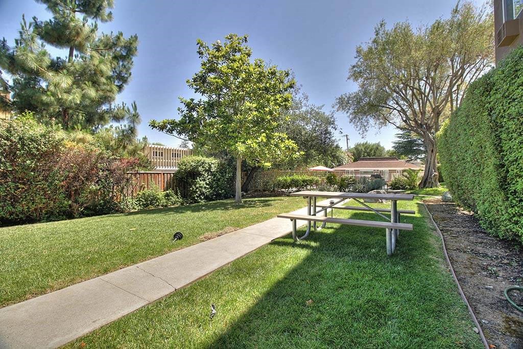 Full greenery outside at The Luxe, Santa Clara, CA