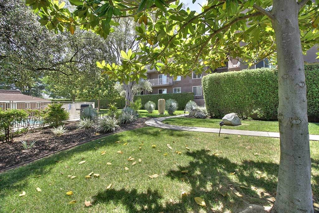 Lawn and Hedges at The Luxe, Santa Clara, 95051