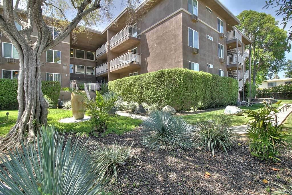 Plants, trees and hedges at The Luxe, Santa Clara